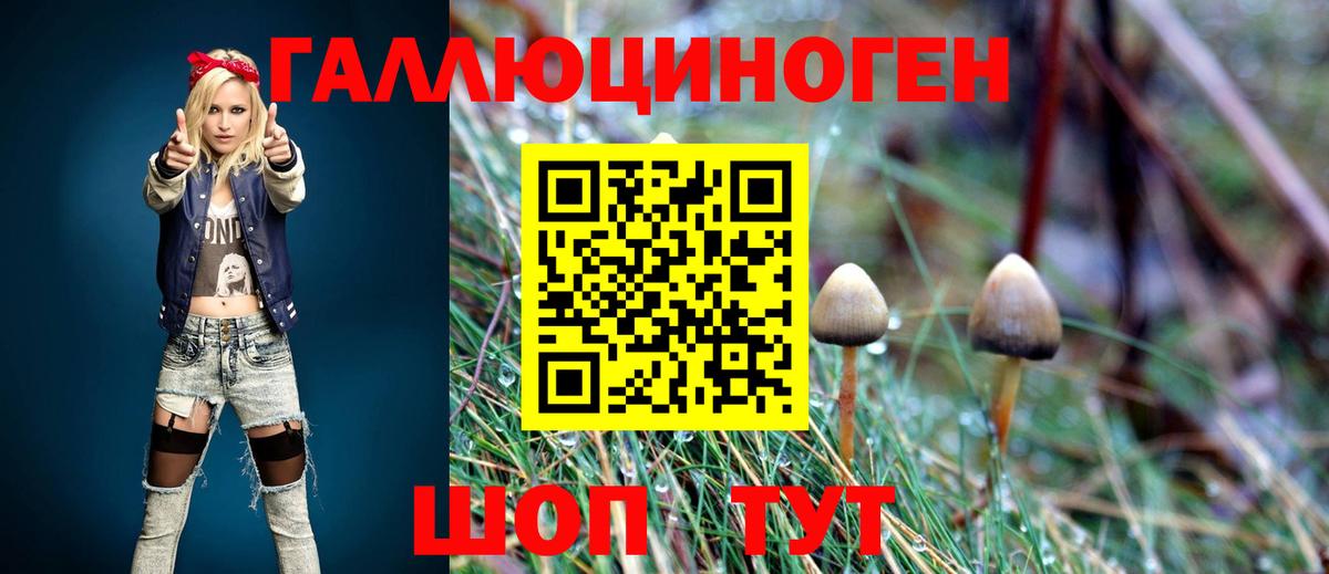 Галлюциногенные грибы Psilocybine cubensis  Вход с VPN  Тайшет 